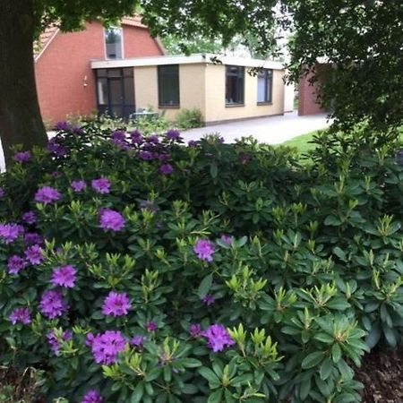 Bed and Breakfast Speldehof Kraggenburg Exterior foto
